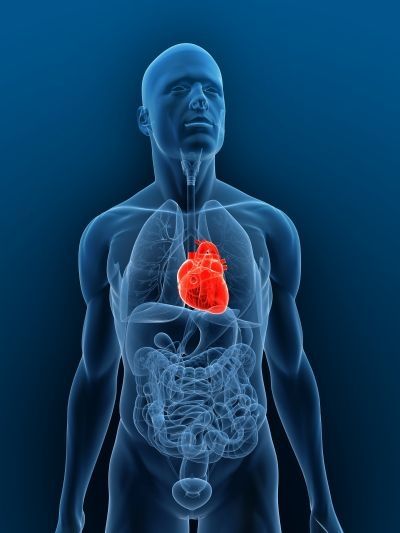 Après un arrêt cardiaque, il faudrait injecter du fluor dans les poumons